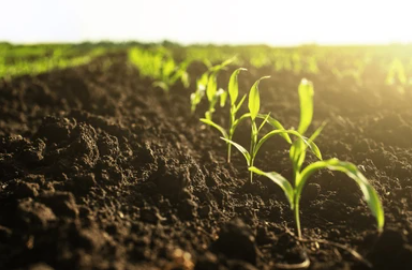agri-business